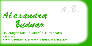 alexandra budnar business card